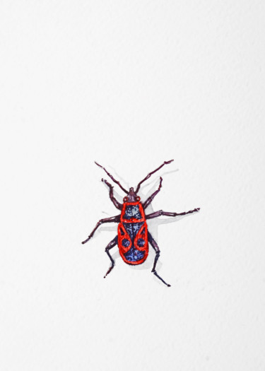 제목이 "red-beetle.jpg"인 미술작품 S Lelyukh로, 원작, 수채화