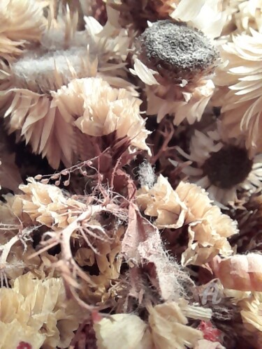 Fotografía titulada "Flores secas II" por Len Reglero, Obra de arte original, Fotografía digital