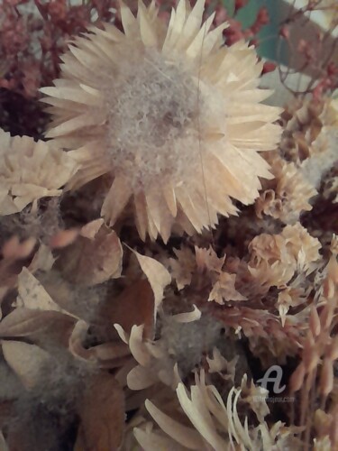 Fotografía titulada "Flores secas III" por Len Reglero, Obra de arte original, Fotografía digital