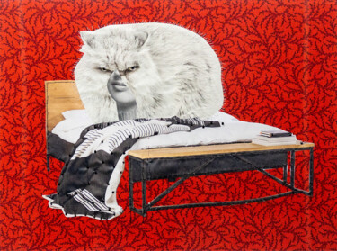 Коллажи под названием "Catton. Series "Sti…" - Lena Ash, Подлинное произведение искусства, Коллажи Установлен на картон