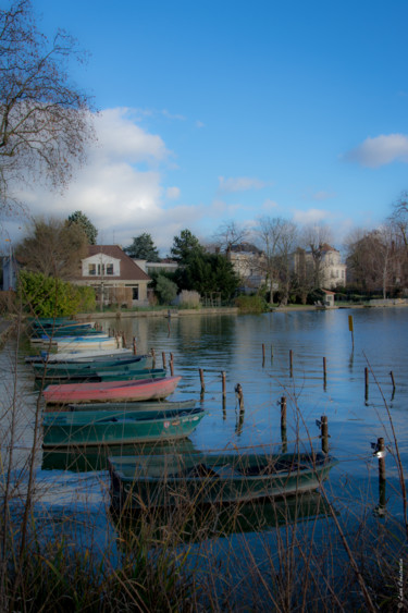 摄影 标题为“Au bord du lac” 由Léna Constantin, 原创艺术品