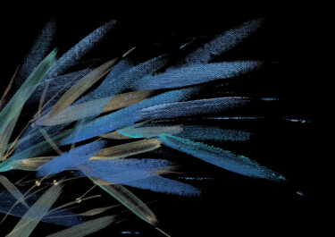 Коллажи под названием "Flash effect #2" - Lena Oma, Подлинное произведение искусства, Цифровой коллаж