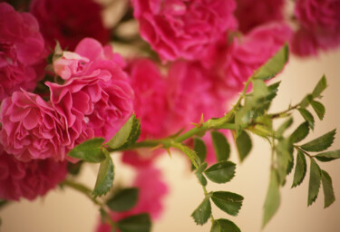 Фотография под названием "Bouquet of garden p…" - Helen Dan, Подлинное произведение искусства, Цифровая фотография