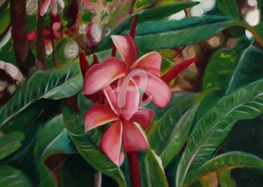 Pintura titulada "Two Pink Plumerias" por Lenka Graner, Obra de arte original, Oleo Montado en Bastidor de camilla de madera