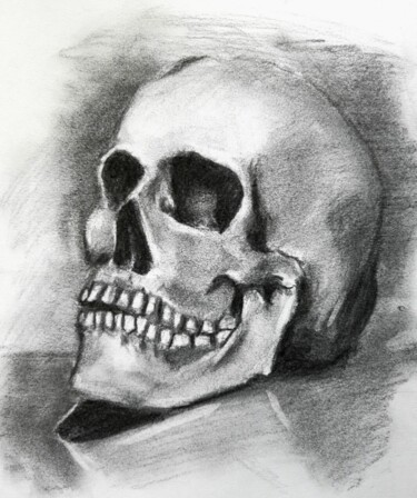 Drawing titled "le crâne" by Léo Riz, Original Artwork, Charcoal