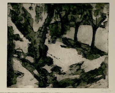 Incisioni, stampe intitolato "Estudio de paisaje…" da Leonardo Vega, Opera d'arte originale, Acquaforte