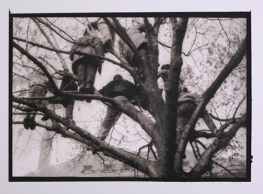 Photography titled "The Tree - Platinum…" by Leonard Radu Chioveanu, Original Artwork, Analog photography Mounted on Other r…