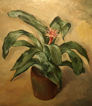 Peinture intitulée "LA BILLBERGIA" par Leonida Beltrame, Œuvre d'art originale, Huile