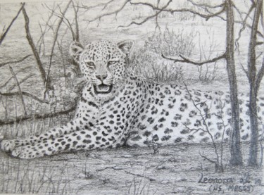 Zeichnungen mit dem Titel "Lazy young leopard" von Leonora De Lange, Original-Kunstwerk, Bleistift
