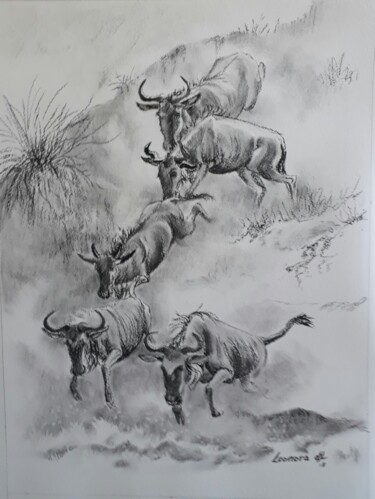 Dessin intitulée "Wildebeest migration" par Leonora De Lange, Œuvre d'art originale, Fusain