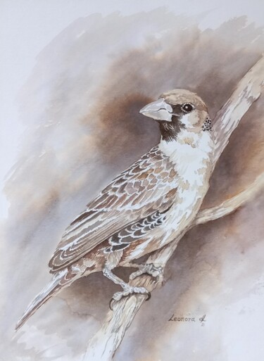 Pintura intitulada "Bird on a Branch" por Leonora De Lange, Obras de arte originais, Tinta