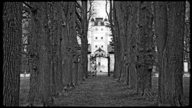 Fotografie mit dem Titel "Der Schlosspark" von Leopold Brix, Original-Kunstwerk, Digitale Fotografie