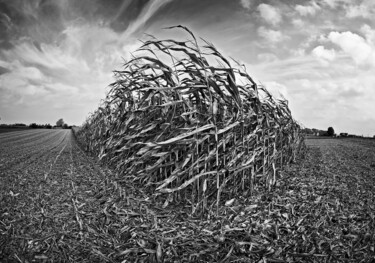 Fotografia zatytułowany „Die Ernte (Prints)!” autorstwa Leopold Brix, Oryginalna praca, Fotografia cyfrowa