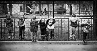 Fotografía titulada "Im Zoo" por Leopold Brix, Obra de arte original, Fotografía digital