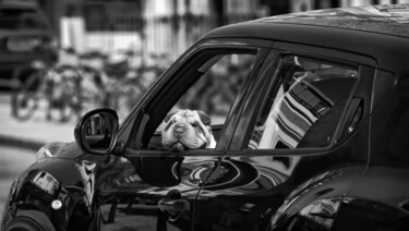 Photographie intitulée "Der Beifahrer" par Leopold Brix, Œuvre d'art originale, Photographie numérique