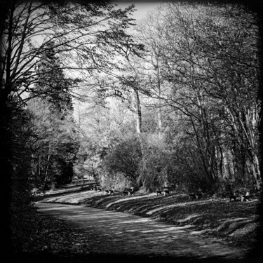 Photographie intitulée "Der Spazierweg" par Leopold Brix, Œuvre d'art originale, Photographie numérique