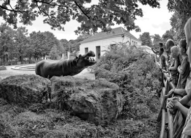 Fotografia intitolato "Das Flusspferd" da Leopold Brix, Opera d'arte originale, Fotografia digitale