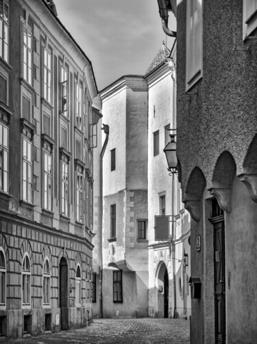 Photographie intitulée "Der Fenstergucker" par Leopold Brix, Œuvre d'art originale, Photographie numérique