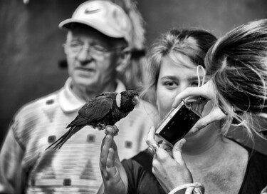Photographie intitulée "Das Papageienfoto" par Leopold Brix, Œuvre d'art originale, Photographie numérique