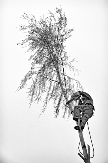 Fotografia intitulada "Der Baumschnitt" por Leopold Brix, Obras de arte originais, Fotografia digital