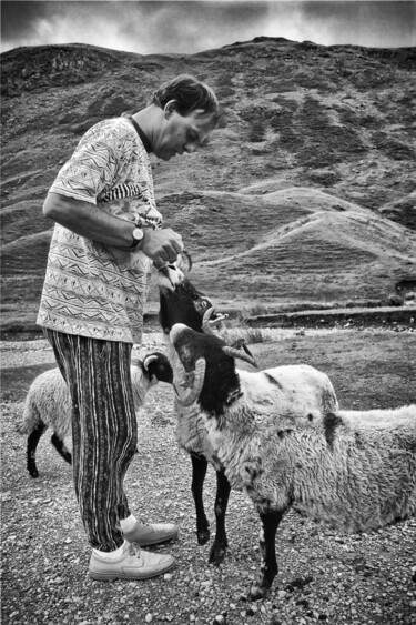 Fotografie mit dem Titel "Der englische Schaf…" von Leopold Brix, Original-Kunstwerk, Digitale Fotografie