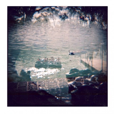 Photography titled "lago cisnes leonard…" by Leo Tezcucano, Original Artwork