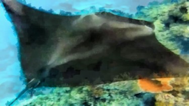 Peinture intitulée "Manta ray" par Lea Ara, Œuvre d'art originale, Aquarelle