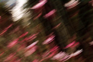 Fotografie mit dem Titel "Nuée rose" von Aurore Ellmer, Original-Kunstwerk, Digitale Fotografie