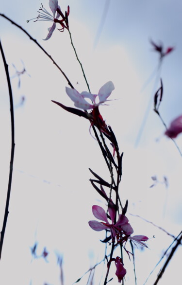 Fotografia zatytułowany „Fantastique” autorstwa Aurore Ellmer, Oryginalna praca, Fotografia cyfrowa