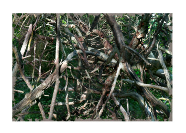 Fotografie mit dem Titel "Jackson Pollock pho…" von Nicolas Lespagnol, Original-Kunstwerk, Digitale Fotografie