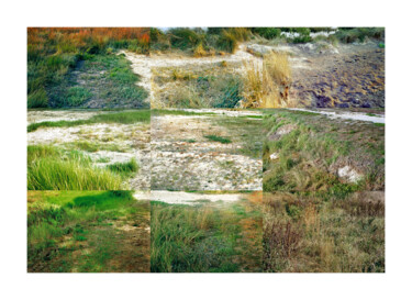 Photographie intitulée "paysage impressionn…" par Nicolas Lespagnol, Œuvre d'art originale, Photographie numérique Monté sur…