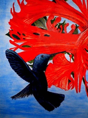 Pintura titulada "Hummingbird." por Socam, Obra de arte original