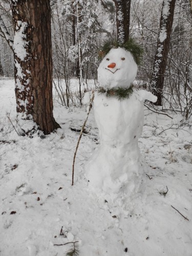 Фотография под названием "Снеговик-лесовик /…" - Galina Levkina, Подлинное произведение искусства, Цифровая фотография