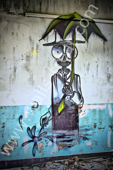 Photographie intitulée "Umbrella Palm" par Le Zèbre Urbain, Œuvre d'art originale