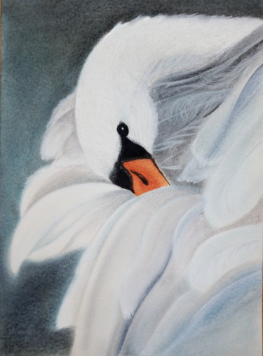 Картина под названием "Лебедь" - Наталья Лямина, Подлинное произведение искусства, Пастель