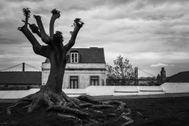 Photographie intitulée "Tree" par Andrei Leonenko, Œuvre d'art originale, Photographie numérique