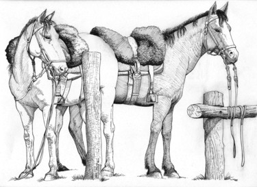 Dessin intitulée "Caballos de paso" par El Rudy, Œuvre d'art originale, Encre