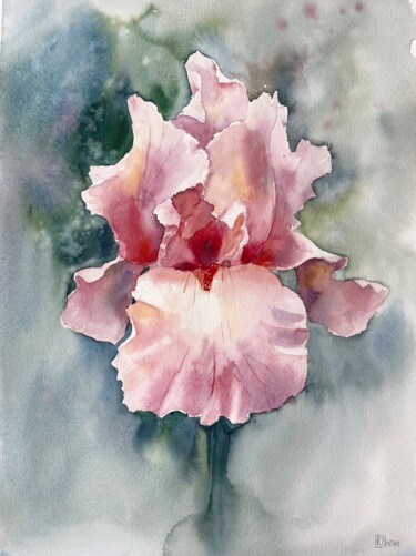 Painting titled "Pink Iris" by Lida Khomyakova (Artelida), Original Artwork, Watercolor