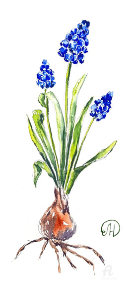 Картина под названием "Muscari flowers" - Lidia Nureeva, Подлинное произведение искусства, Акварель