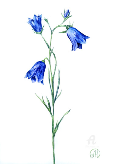 Schilderij getiteld "Blue bells flowers" door Lidia Nureeva, Origineel Kunstwerk, Aquarel