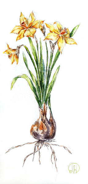 Pittura intitolato "Narcissus botanical…" da Lidia Nureeva, Opera d'arte originale, Acquarello