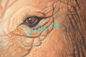 Peinture intitulée "Oeil d'éléphant" par Liliane Yenk, Œuvre d'art originale