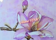 Peinture intitulée "Magnolia (Aquarelle)" par Liliane Yenk, Œuvre d'art originale