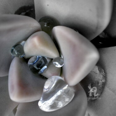 Photography titled "Porcelaine et goutt…" by Lilipassion, Original Artwork, Manipulated Photography