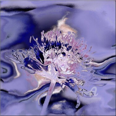 Photographie intitulée "violette" par Lilipassion, Œuvre d'art originale