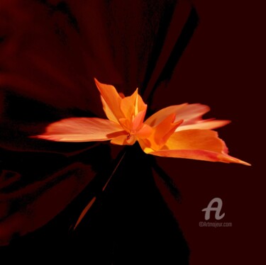 Photographie intitulée "orange" par Lilipassion, Œuvre d'art originale