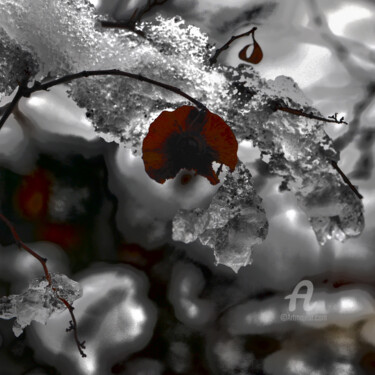 Photographie intitulée "hiver" par Lilipassion, Œuvre d'art originale