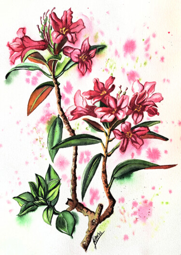 Painting titled "Rhododendron" by Liliya Hudry, Original Artwork, Watercolor