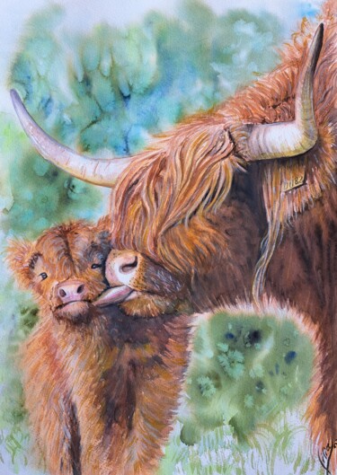Peinture intitulée "Highland cow" par Liliya Hudry, Œuvre d'art originale, Aquarelle