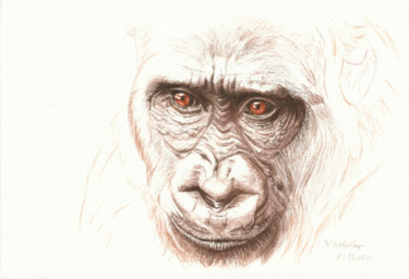Рисунок под названием "Gorilla" - Lilla Varhelyi, Подлинное произведение искусства, Чернила